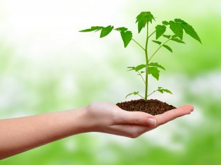 Start Your Own Green Business Start Your Own Green Business